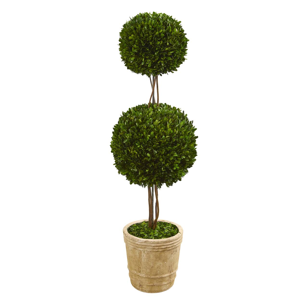 4ft. Boxwood Double Ball Topiary Tree in Planter